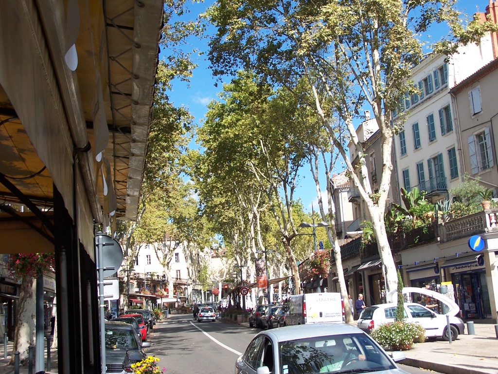 french high street, with plane trees along side of the road, white buildings, and cars parked down both sides of the road.